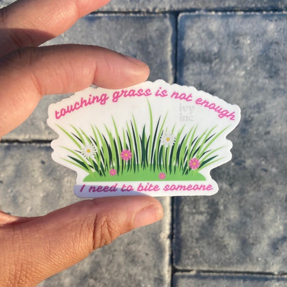 Touch Grass Meme Sticker | Poster