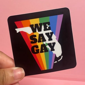 Adesivo We Say Gay Florida, mese del Gay Pride, adesivo arcobaleno LGBTQ, regalo politico, Don’t Say Desantis, adesivo dell’orgoglio, diritti Queer