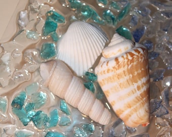 Sea glass and Sea shell Night Light