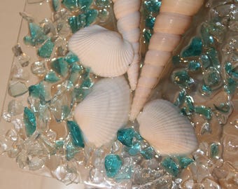 May include: A decorative night light featuring seashells and turquoise glass pieces embedded in a clear resin. The night light has a white base with an on/off switch, perfect for a coastal or beach-themed decor.