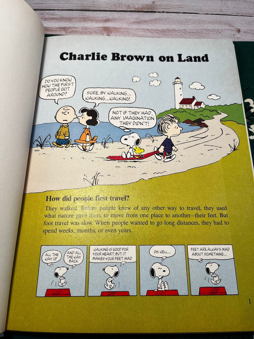 Charlie Brown's Third Super Book of Questions and Answers, 1978 Vintage ...