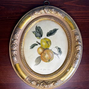 May include: A framed oval print of a yellow apple branch with green leaves. The print is in a gold frame with ornate details. The text "The Yellow Pear" is written at the bottom of the print.