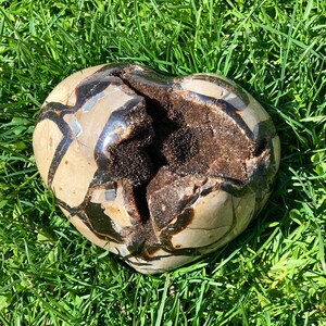 Septarian Cluster Heart