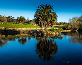 Panoramic Lake Photography - Reflections Fine Art - Scenic Gardens and Lake Wall Art