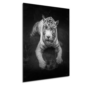 Weißer Tiger Abkühlung B & W Fine Art, Schöne große Katze schwarz und weiß Wand Kunst Druck auf Leinwand, Acryl, Metall