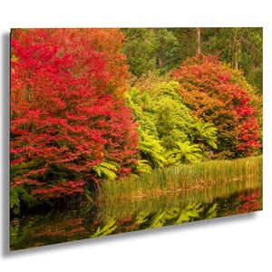 Herbst Reflections Fine Art Foto, Dandenong Paletten Botanischer Garten Kunst Druck auf Leinwand und Acryl, Victoria