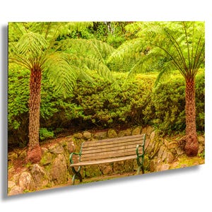 Fotografía artística &quot;Serenidad en el jardín&quot;, impresión artística mural &quot;El asiento de la tranquilidad&quot;, Victoria, impresión fotográfica del Jardín Botánico de Dandenong