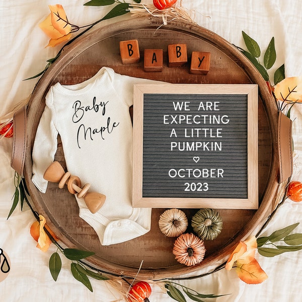 Digital Pregnancy Announcement / Pregnancy Reveal / Social Media / Gender Neutral /  Letter Board / Facebook / Instagram / Fall / Pumpkin