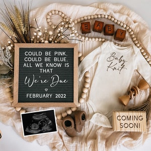 This photo shows the image with the ultrasound. All of the text is editable.