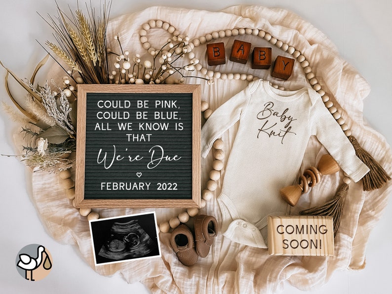 Digital Pregnancy Announcement / Pregnancy Reveal / Social Etsy