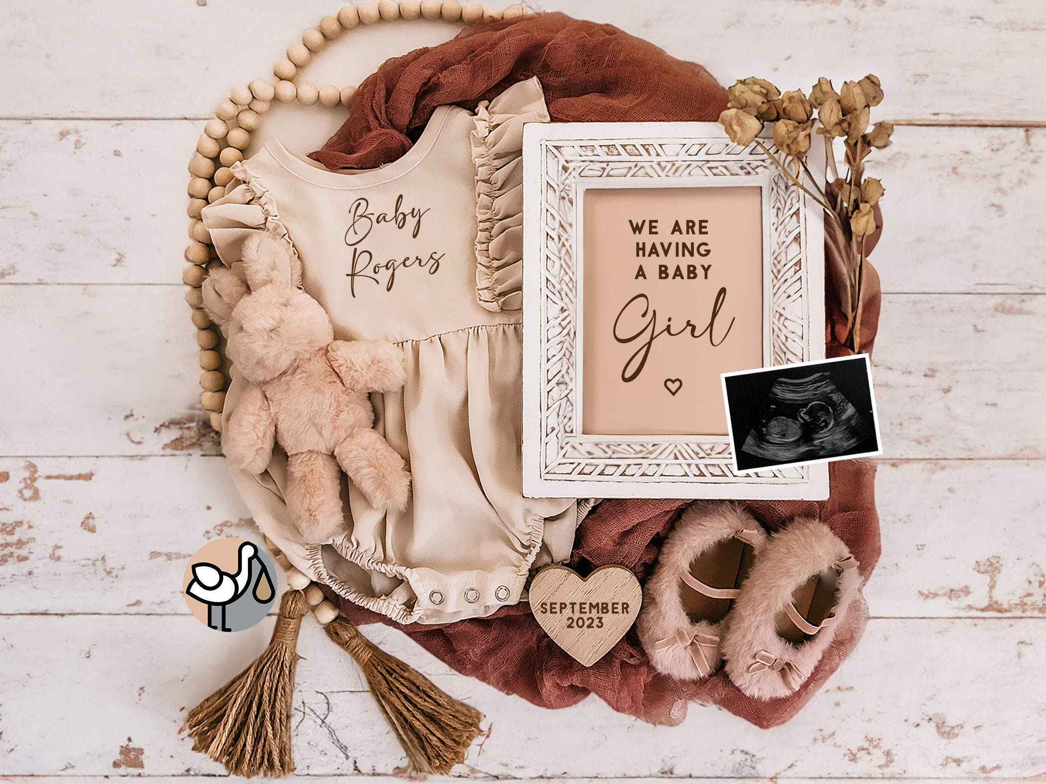Digital Pregnancy Announcement / Pregnancy Reveal / Social Media / Baby Girl / Gender Announcement / Facebook / Instagram / Pink