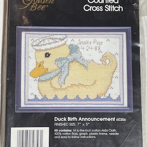 Vintage Counted Cross Stich Kit with Plastic Frame,