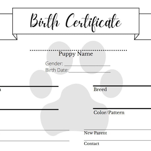 Puppy Birth Certificate Template Editable New Puppy Cat Dog Etsy Puppy Birth Certificate Template Editable New Puppy Cat Dog Etsy