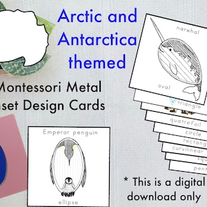 Montessori Metal Inset Design Karten - Arktis und Antarktis
