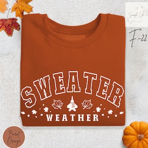 F22 Fall Shirt | Sweater Weather F-22 Fighter Jet Sweatshirt | F22 Raptor Fall Sweater | Cozy Fighter Jet Shirt Gift | Cute Airplane Gift