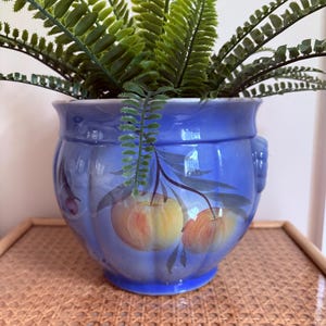 May include: A blue ceramic plant pot with a painted apple design, filled with green fern-like plants. The pot has a rounded shape and sits on a woven surface.