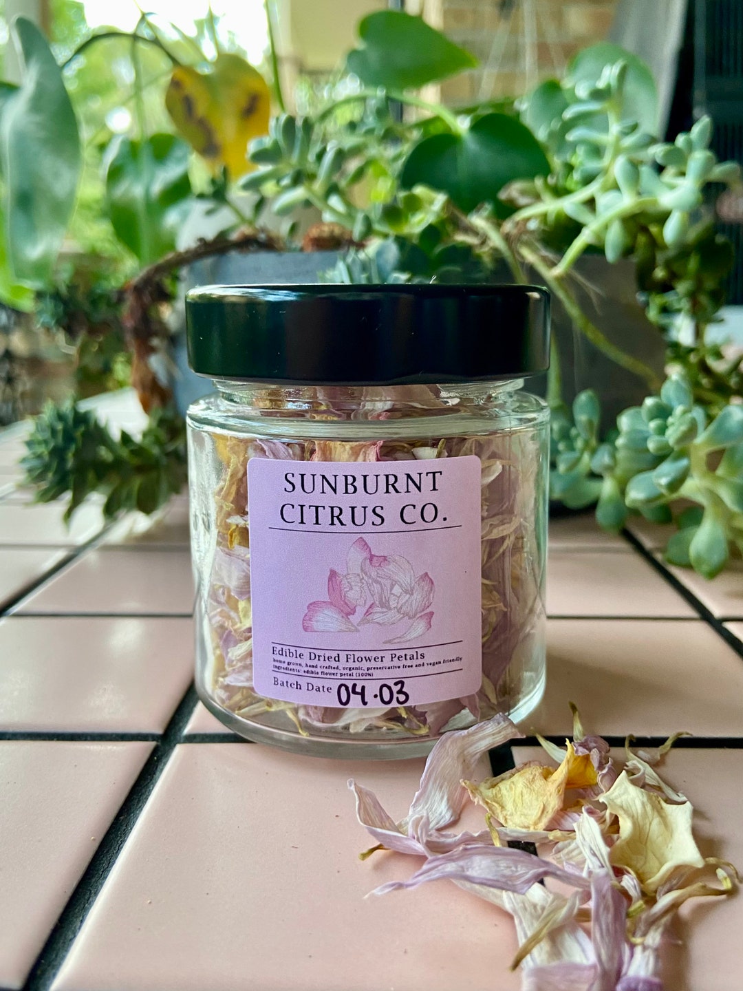 Dehydrated Edible Flower Petals Etsy