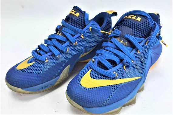 Lebron 12 size 9 top