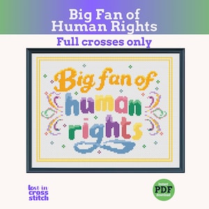 May include: A framed cross-stitch with the text "Big Fan of Human Rights" in colorful letters. The design includes the words "Big fan of" in yellow, "human" in blue, purple, and green, and "rights" in pink and blue. The phrase "Full crosses only" is above the design.
