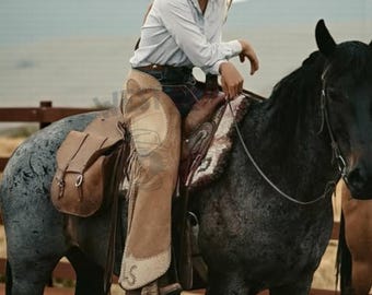 May include: A person wearing a cowboy hat and light blue shirt sits on a horse. The horse is dark gray with black legs. The person is wearing light brown chaps and a brown leather saddle. The background shows a mountain range.