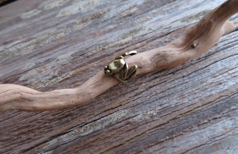 Tree Frog Ear Cuff No Piercing Cartilage Ear Cuff Dread Loc Etsy