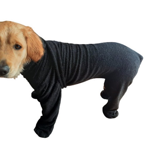 Why Do Dogs Have Four Legs