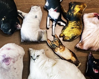 Customized Ugly Pillows, Ugly Pillows, Custom Gifts, Funny Gifts, Gifts for Friends, Birthday Gift, Christmas Gift, Custom Realistic Pillows