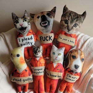 May include: A collection of plush animal dolls, including cats, a dog, and a bird, dressed in orange prison jumpsuits. Each doll holds a sign with humorous phrases like "I plead guilty" and "I'm not a criminal."