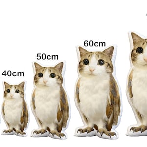 May include: A collection of cat-shaped plush pillows in various sizes, ranging from 30cm to 70cm tall. The pillows feature a realistic cat design with brown and white fur, large eyes, and a standing pose. A 500ml bottle is included for size comparison.