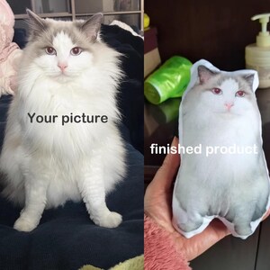 May include: A long-haired white and grey cat with blue eyes is shown on the left labeled Your picture. On the right, a small, soft, custom-shaped plush pillow featuring the same cat's image is labeled finished product.