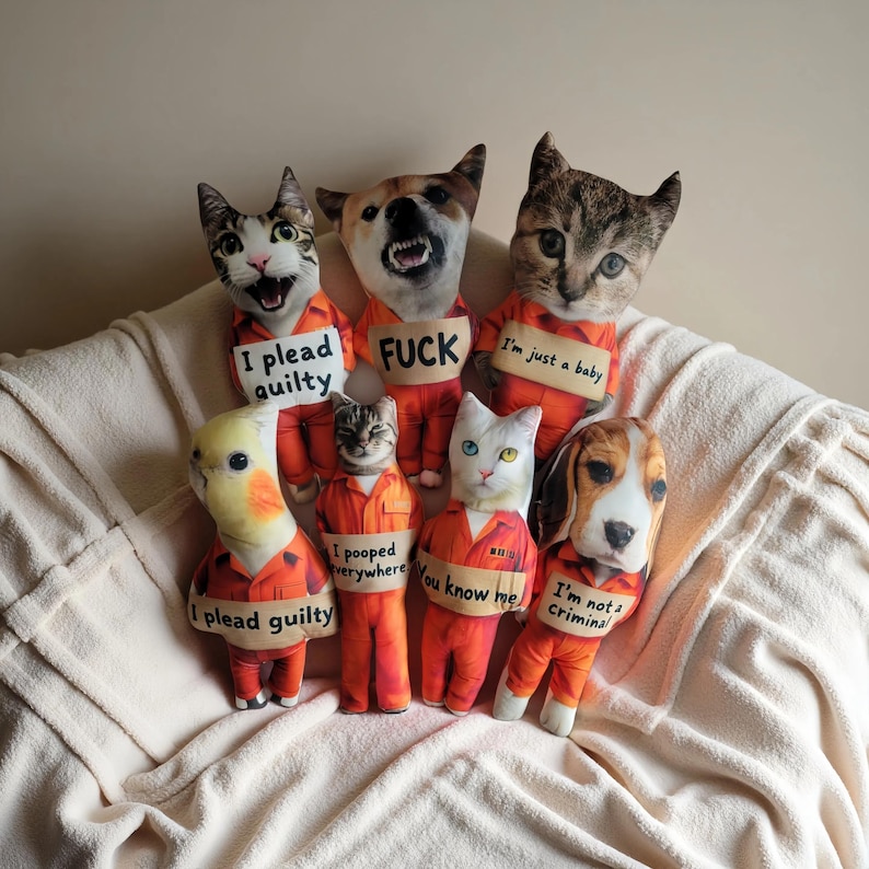 May include: A collection of plush animal dolls, including cats, a dog, and a bird, dressed in orange prison jumpsuits. Each doll holds a sign with humorous phrases like "I plead guilty" and "I'm not a criminal."