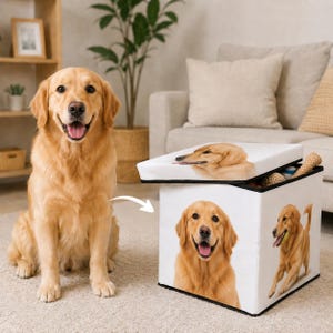 May include: A golden retriever sits beside a white storage ottoman featuring images of golden retrievers. The ottoman's lid is open, showing dog toys. The ottoman has a black trim and is on a light-coloured carpet.