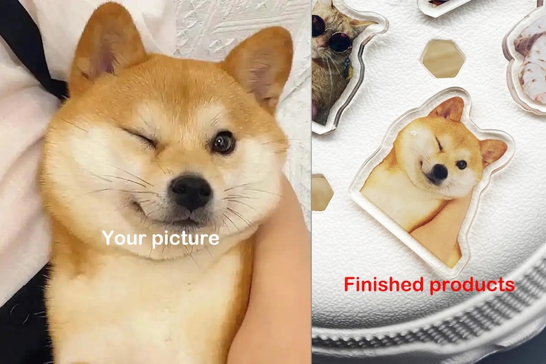 May include: A close-up of a dog with one eye closed, winking at the camera. The dog is light brown and white with a fluffy face. The text "Your picture" is written below the dog. On the right side of the image, a finished product is shown, a clear acrylic keychain with the same dog image.