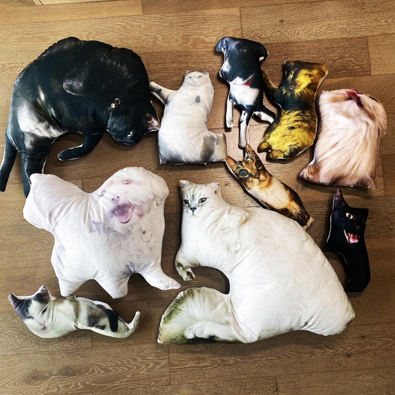 May include: A collection of ten custom-shaped throw pillows featuring high-resolution photographic prints of various cats and dogs. The pillows display diverse animal poses, fur colors, and expressions, including black, white, brown, and tabby patterns.