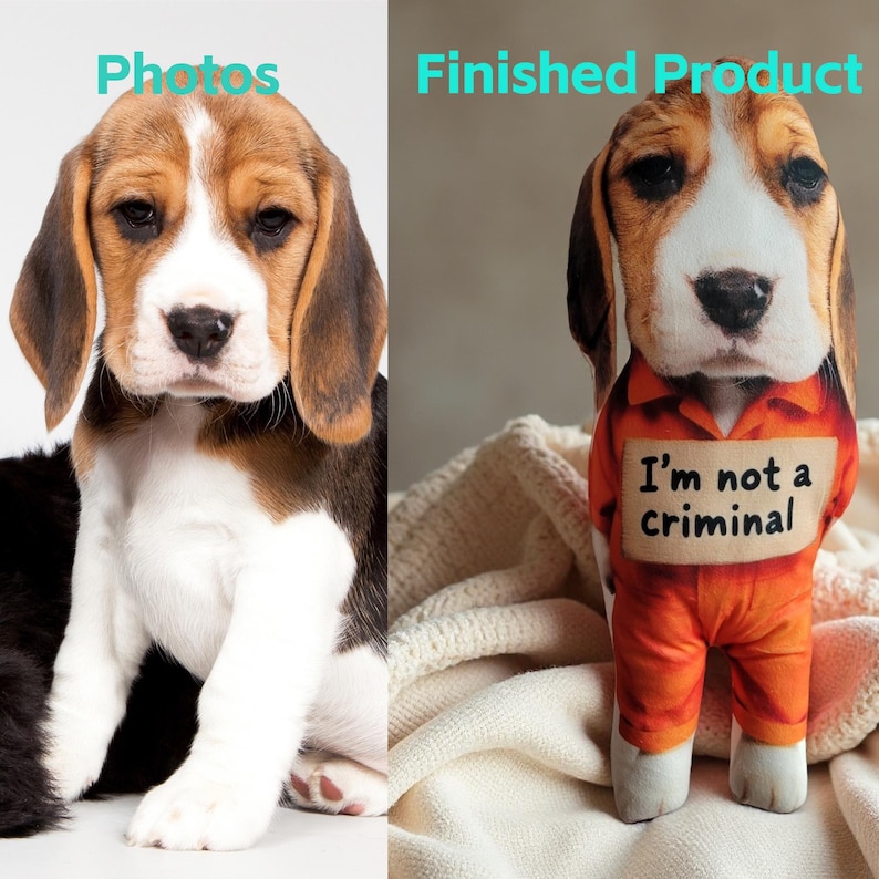 May include: A plush beagle dog wearing an orange jumpsuit with the text "I'm not a criminal". The beagle has brown and white fur and floppy ears. The finished product is displayed next to a photo of a real beagle.