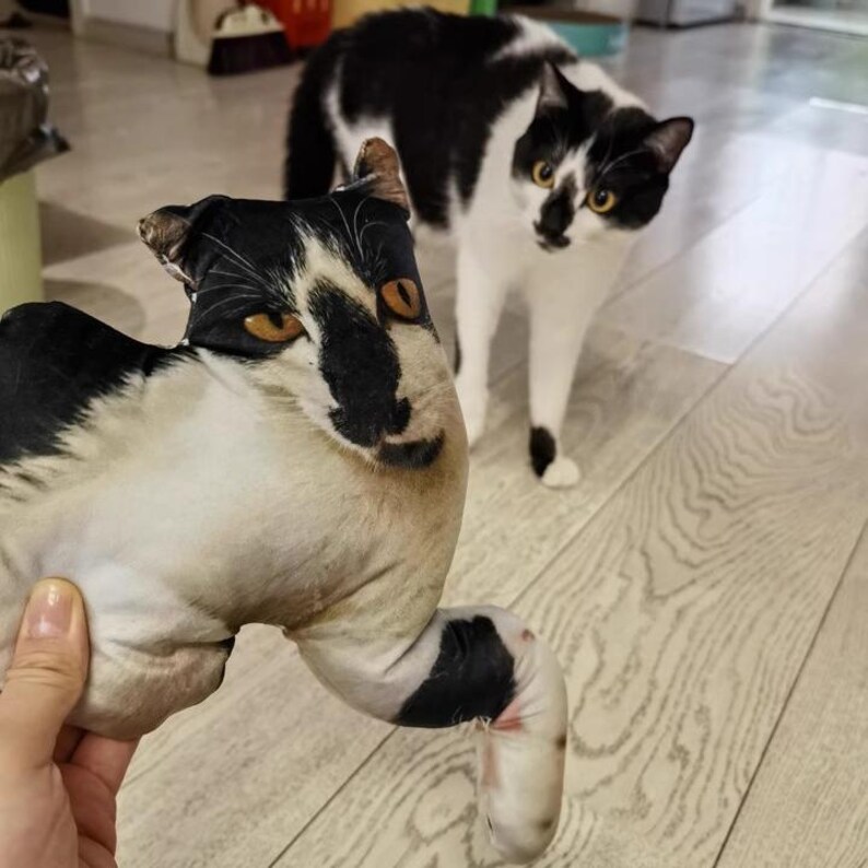 May include: A plush pillow shaped like a cat with a realistic black and white fur pattern, featuring amber-colored eyes and pointed ears. The pillow mimics the appearance of a standing cat with a distinct black patch on its nose and forehead.