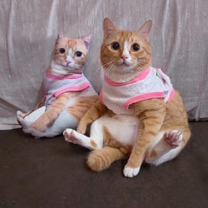 K&ouml;nnte beinhalten: Eine orangefarbene Tabby-Katze mit einem wei&szlig;-rosa gepunkteten Hemd sitzt neben einem katzenf&ouml;rmigen Kissen mit &auml;hnlichem Design. Die Katze sitzt mit ausgestreckten Beinen, und das Kissen hat eine &auml;hnliche Pose.