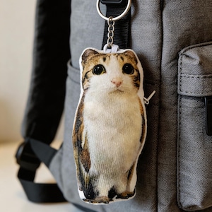 Peut inclure: Un porte-clés en forme de chat avec un anneau et une chaîne en métal. Le porte-clés en peluche présente une impression détaillée d'un chat avec une fourrure marron, blanche et beige. Le porte-clés est attaché à un sac à dos gris.