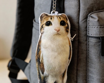 Meowl-sleutelhanger met muziek, leuke dierensleutelhanger, Voice Play-sleutelhanger, leuk kerstcadeau, Meowl-speelgoed, hybride decoratie uil en kat