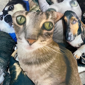 K&ouml;nnte beinhalten: Eine Sammlung von Pl&uuml;schtierkissen mit verschiedenen Tiergesichtern. Im Vordergrund befindet sich ein Katzenkissen mit gr&uuml;nen Augen und einem braun-grauen Tabby-Muster. Weitere Kissen zeigen einen Hund und einen Husky.