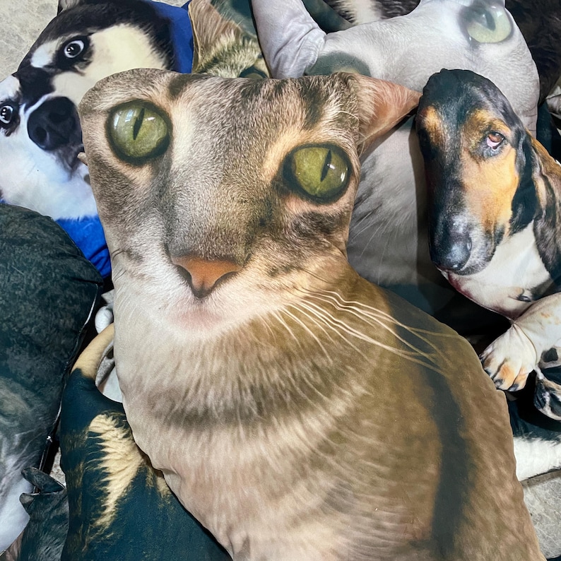 K&ouml;nnte beinhalten: Eine Sammlung von Pl&uuml;schtierkissen mit verschiedenen Tiergesichtern. Im Vordergrund befindet sich ein Katzenkissen mit gr&uuml;nen Augen und einem braun-grauen Tabby-Muster. Weitere Kissen zeigen einen Hund und einen Husky.