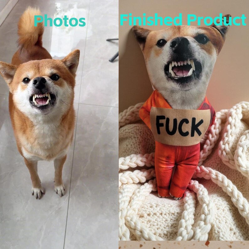 May include: A side-by-side image shows a Shiba Inu dog and a plush toy version. The dog is brown and white with its mouth open, teeth bared. The plush toy is wearing an orange outfit and holding a sign that says "FUCK".