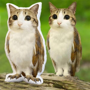 Poduszka z miauczeniem, spersonalizowana poduszka ze zwierzęciem, pluszowy mem z miauczeniem, brelok z miauczeniem, zabawny prezent dla zwierzaka, poszewka na poduszkę z miauczeniem, spersonalizowana poduszka dla kota, spersonalizowana poduszka z sową