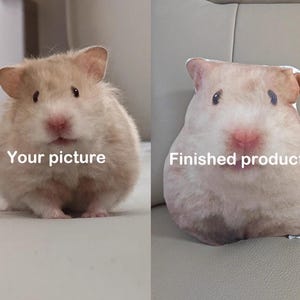 K&ouml;nnte beinhalten: Ein Vergleich zeigt nebeneinander einen Hamster und ein kissenf&ouml;rmiges Hamster-Produkt. Der Hamster ist hellbraun mit rosa Merkmalen. Das Kissen hat das gleiche Design, mit den Texten "Your picture" und "Finished product".