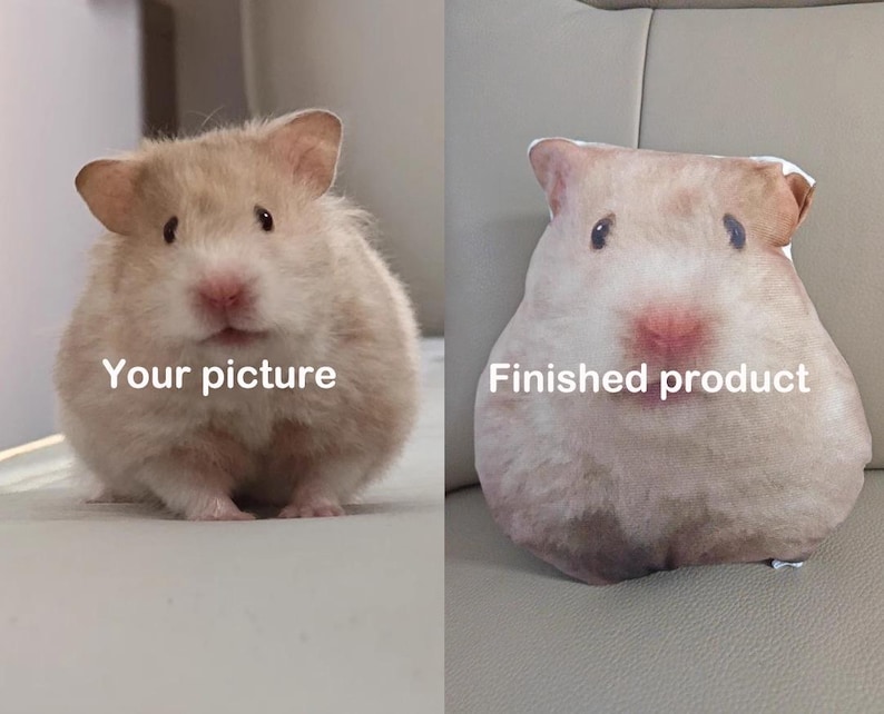 K&ouml;nnte beinhalten: Ein Vergleich zeigt nebeneinander einen Hamster und ein kissenf&ouml;rmiges Hamster-Produkt. Der Hamster ist hellbraun mit rosa Merkmalen. Das Kissen hat das gleiche Design, mit den Texten "Your picture" und "Finished product".