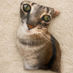 K&ouml;nnte beinhalten: Ein kissenf&ouml;rmiges Kissen mit einem realistischen Aufdruck des Gesichts einer getigerten Katze. Das Kissen hat gr&uuml;ne Augen, eine rosa Nase und detaillierte Fellmuster in Braun-, Grau- und Wei&szlig;t&ouml;nen. Das Kissen ist so gestaltet, dass es dem Kopf und dem K&ouml;rper der Katze &auml;hnelt.