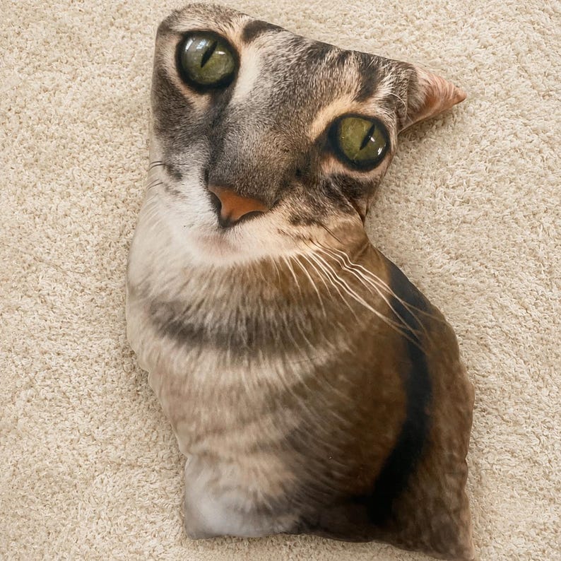K&ouml;nnte beinhalten: Ein kissenf&ouml;rmiges Kissen mit einem realistischen Aufdruck des Gesichts einer getigerten Katze. Das Kissen hat gr&uuml;ne Augen, eine rosa Nase und detaillierte Fellmuster in Braun-, Grau- und Wei&szlig;t&ouml;nen. Das Kissen ist so gestaltet, dass es dem Kopf und dem K&ouml;rper der Katze &auml;hnelt.