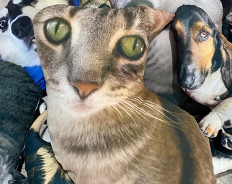 Hundekissen individuell, Hässlicher Hund Kissen, Haustier, hässlich, hässlich, Haustier Geschenke, Haustier Fotokissen, Fotokissen, Haustierkissen, Haustierkissen