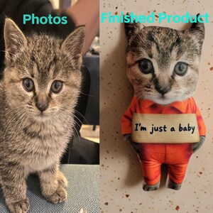 May include: A side-by-side image shows a kitten and a finished product plush toy. The kitten is gray and brown with big eyes. The plush toy is a cat wearing an orange jumpsuit and holding a sign that says "I'm just a baby."