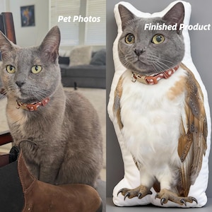 May include: A side-by-side image shows a gray cat with a red collar and a custom pillow. The pillow is shaped like the cat, with a printed image of the cat's face and body, and the text "Finished Product".